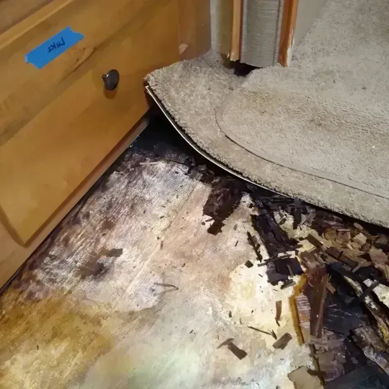 Best Wood Floor Water Damage Service in Allegany County, MD